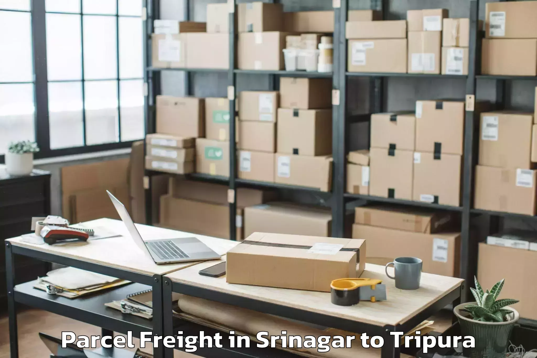 Affordable Srinagar to Panisagar Parcel Freight